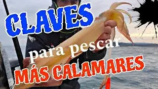 C&oacute;mo Pescar Calamares con Ca&ntilde;a desde la Orilla del Mar: Tips y Secretos