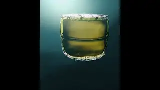 Diatom cell cycle