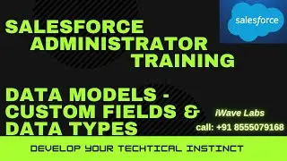 Data Models -2 || Custom fields & Data Types || Salesforce Administration|| iWaves Labs.