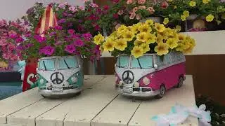 FlowerTrials 2023 - Showgarden Impressions