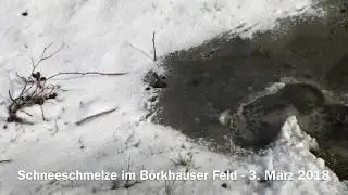 Schneeschmelze im B&ouml;rkhauser Feld