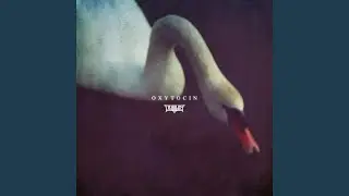 Oxytocin