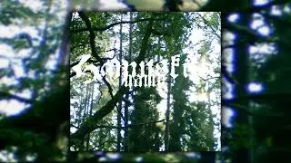 Hamnskifte - Hamn (Single) (Acoustic / Medieval Folk / Ritual Ambient)