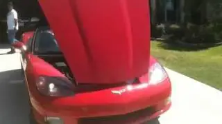 The Red Beast