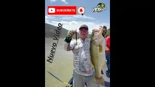 Pescando con Cut R Worm , tips y videos!!