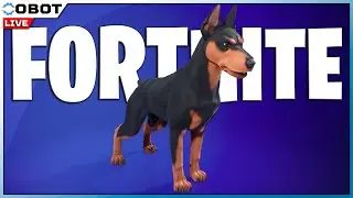 FORTNITE 2026 AO VIVO  GAME PLAY E MUITA CONVERSA  #fortnite #live #ps5 👑 Rumo a 100k