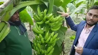জি -৯ (G9) কলার যাদু