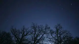 Moonrise at Tyresta 2026