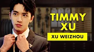 Who is Timmy Xu (aka Xu Weizhou)? Profile & Biography