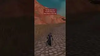 Surviving The Barrens - Then vs Now