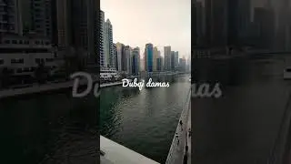 #Dubai damas# Md Reyaz subscrib to channel