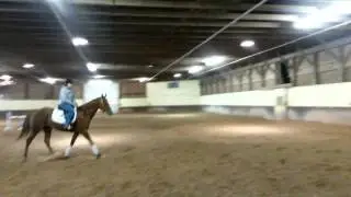 First trot under saddle