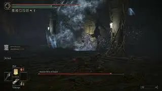 【Elden Ring】Kaiden Sellsword Ashes +10 Vs Ancient Hero Of Zamor