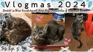 Vlogmas 2024 S9 Ep. 5 | Timbit's New Scratch Pad, a Low Key Christmas & Surprise Move