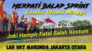Lomba Merpati Balap Utama Minggu Lap. BKT Marunda Jakarta Utara 12 September 2021