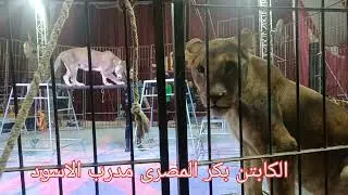احسن سيرك فى مرسى مطروح فقرات مميزة جدا الاسعار والمواعيد