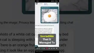AI Image Recognition Is CRAZY Good 👀