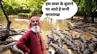 🐊crocodile park Kotmisonar Janjgir champa chhattisgarh🔥all chhattisgarh travel without money by lift