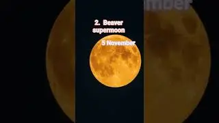 Don't miss rare supermoon event 2025 #supermoon2025 #space #shortfeed #beaversupermoon