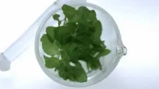 Original Source - Mint Version