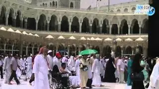 Umra Pfingsten mit Sheikh Neil Bin Radhan 2012