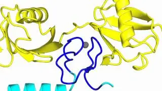 LUBAC, linear ubiauitin chain assembly complex