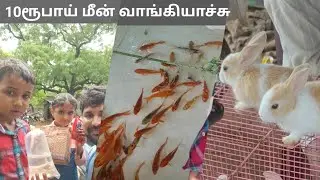 Trichy Ponmalai Market Vlog.Ponmalai Fish, pets & birds market in trichy.Sunday market