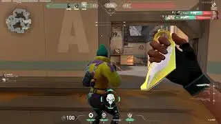 Rank up plus