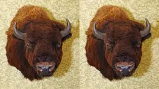 A Bear and Bison Country Inn | 705 Benchlands Trail, T1W 3G9 Canmore, Canada | AZ Hotels
