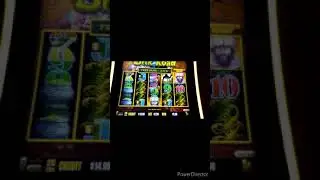 #Shorts BONUS! NEW DRAGON LINK SILK ROAD 5c SLOT