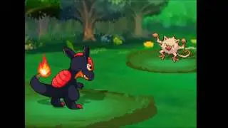 Pokemon Uranium Burole Town