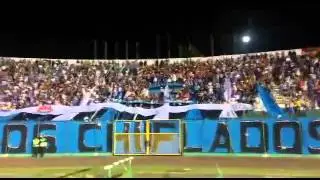 Señores Yo Soy de la Academia BLOOMING