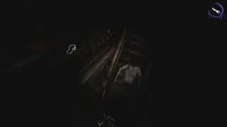 (DEVOUR) I found a glitch spot in Asylum