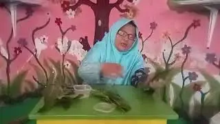 Video Invasi Mahkota Daun Mangga