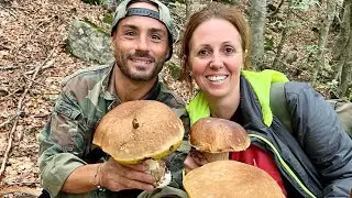 LA SDRAIATA IMPRESSIONANTE DEI PORCINI, gli UFO e le BOMBE in Appennino, FUNGAIA RECORD 🍄