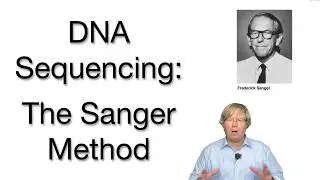 DNA Sequencing: Sanger Method and Beyond Explained