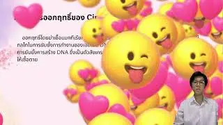 งานนำเสนอยา Ciprofloxacin