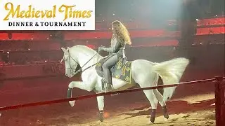 Medieval Times - Dancing Horse 😍🥰😊
