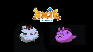 Off Season RMP |  Live Arena | Anti Bird Plant | God Mech | God Reptile | Axie Infinity | 001