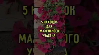 5 находок для маленького участка