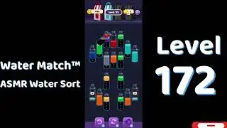 Water Match Level 172 | ASMR Water Sort Puzzle 🧠💧 Relaxing Brain Game | Mini Boss