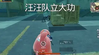 汪汪队利大功 #和平精英地铁逃生 