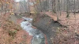 Euclid Creak, Eastern Ledge Trail, Euclid Creek Reservation.