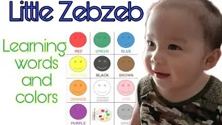 LITTLE ZEB ZEB | LEARNING WORDS AND COLORS
