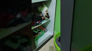 Mama Eks sam bawa si Bunga di kamar ternyata dia takut