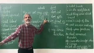 16 Important Idiomatic Expressions