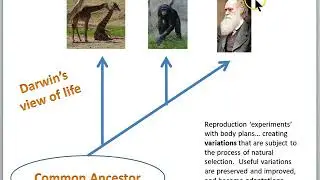 Scientific worldview Darwin