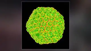 Virophage