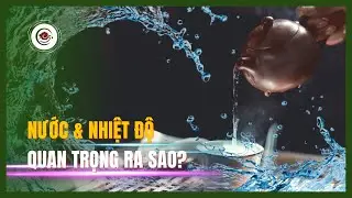 Chọn Nước Chuẩn & Nhiệt Độ Đ&uacute;ng C&aacute;ch - Pha Tr&agrave; Ngon Phải Biết Điều N&agrave;y