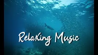 15 Minutes Of Relaxing Music | Under the Sea